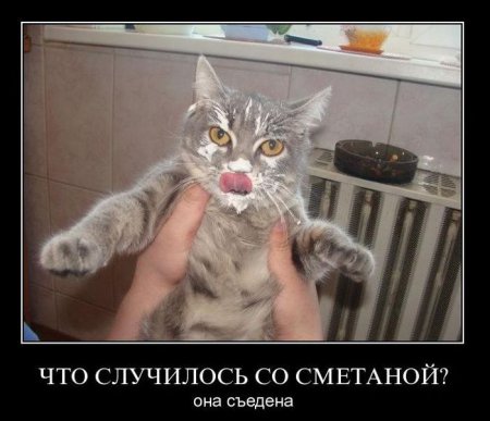 Демотиваторы (44 фото)