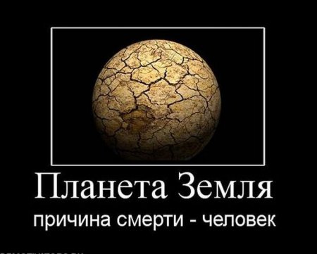 Демотиваторы (44 фото)
