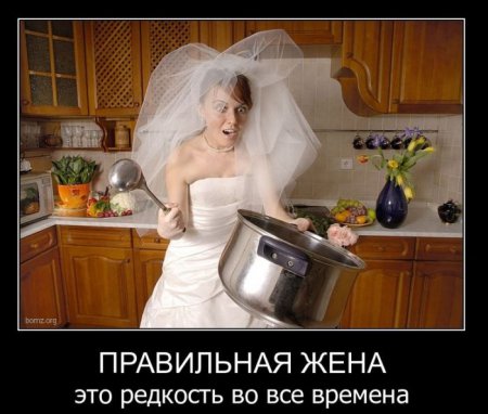 Демотиваторы (44 фото)