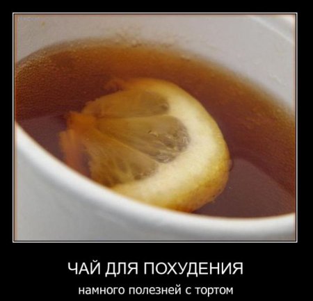 Демотиваторы (44 фото)
