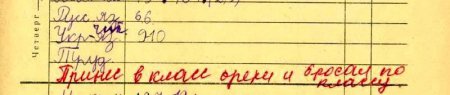 Вспоминая школьный дневник