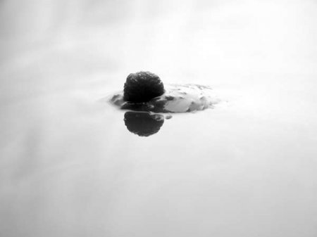 Мастер ню ? Waclaw Wantuch