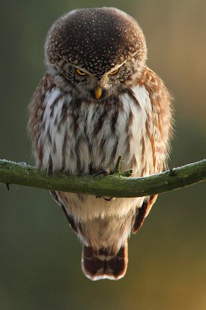 Немного фотопозитива