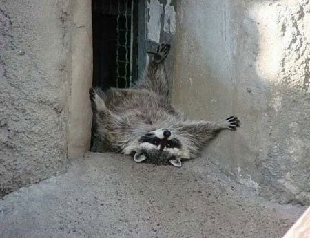 Немного фотопозитива