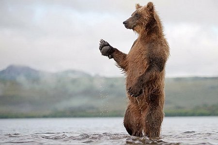 Немного фотопозитива