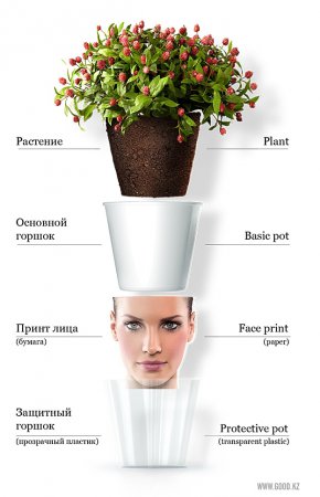 Экспериментальные работы агентства ?GOOD!?.