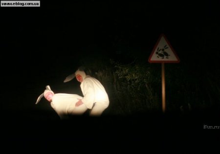 Запрещенные в России фотографии