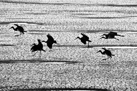 Фотограф Doron Nissim