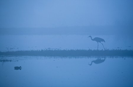 Фотограф Doron Nissim