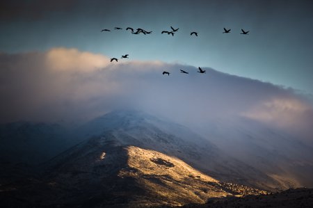 Фотограф Doron Nissim