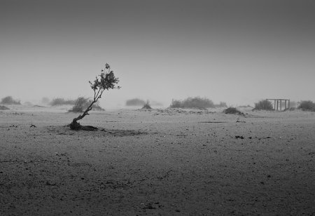 Фотограф Doron Nissim