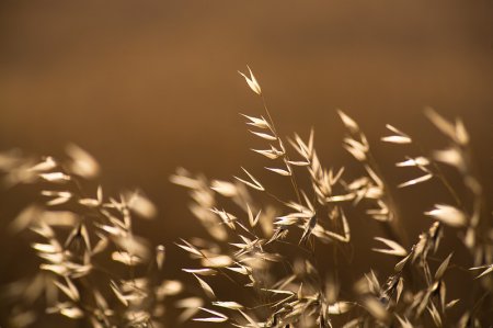 Фотограф Doron Nissim