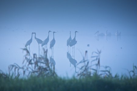 Фотограф Doron Nissim