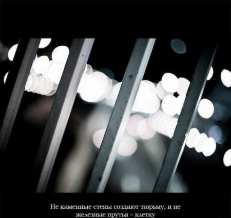 Красивые фотоцитаты (15 фото)