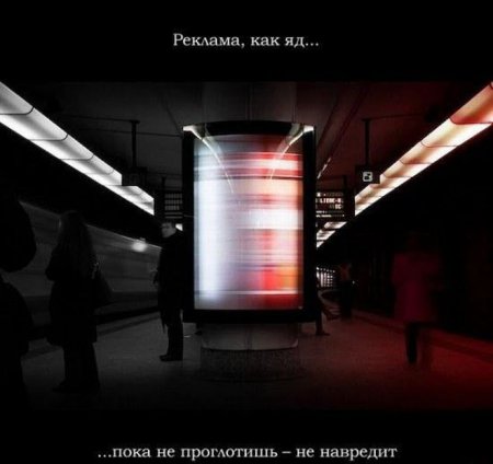 Красивые фотоцитаты (15 фото)