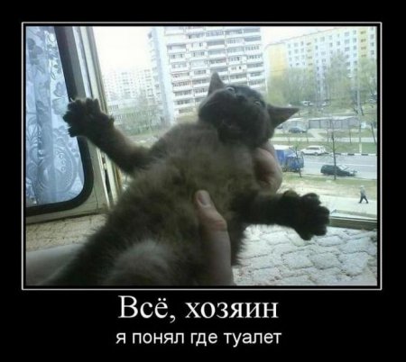 Демотиваторы (44 фото)