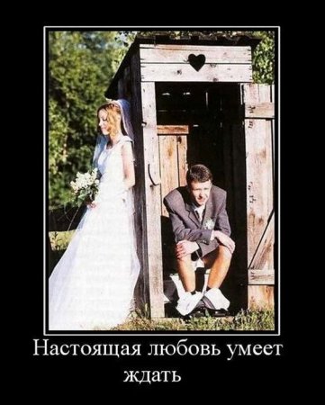 Демотиваторы (44 фото)
