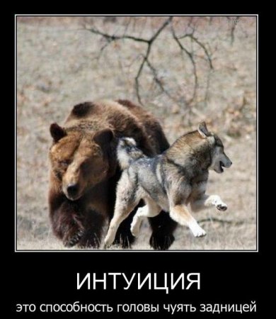 Демотиваторы (44 фото)