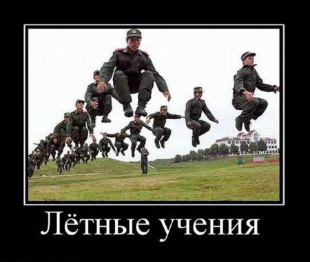 Демотиваторы (44 фото)