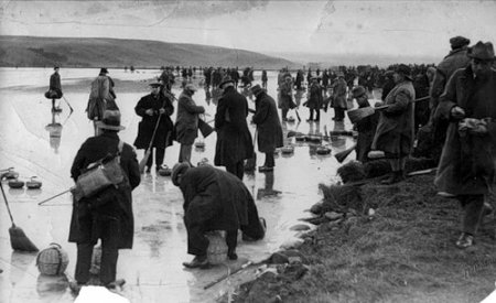 Кёрлинг / Сurling