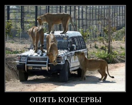 Свежая подборка демотиваторов на грядущую пятницу 100 фото
