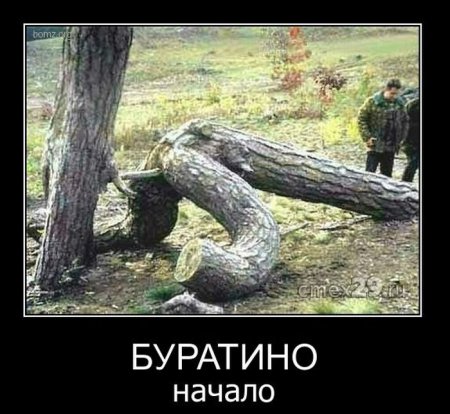 Свежая подборка демотиваторов на грядущую пятницу 100 фото