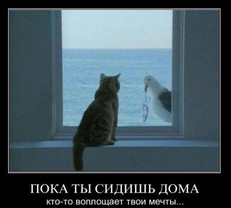 Свежая подборка демотиваторов на грядущую пятницу 100 фото