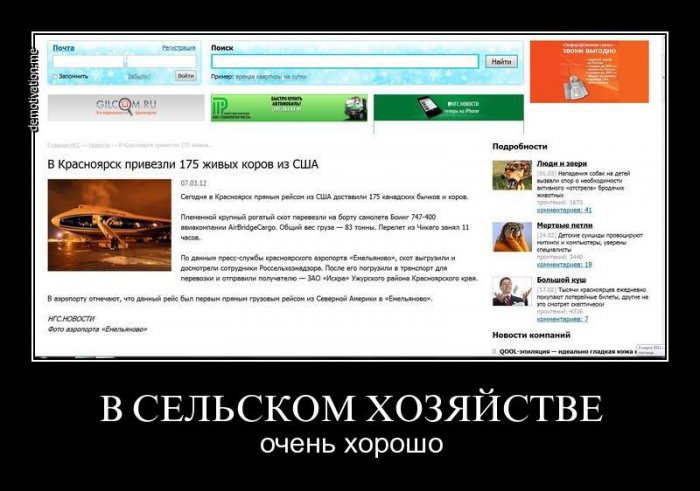 Демотиваторы